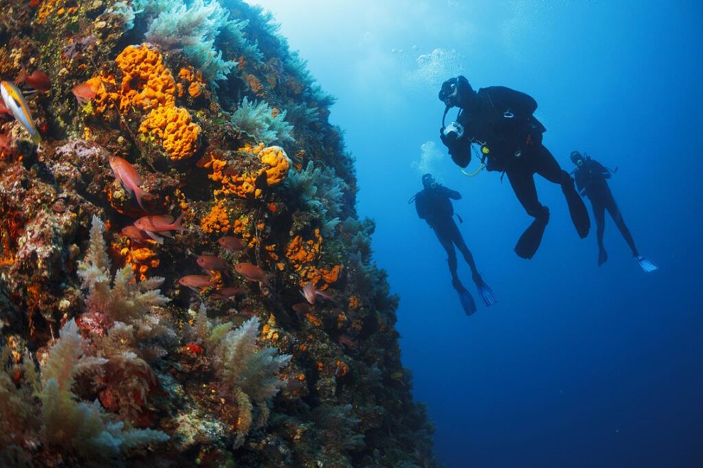 Free Diving: How Deep Can You Go Without Gear Free Diving: How Deep Can You Go Without Gear