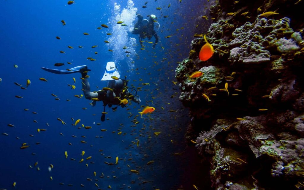 Human Crush Depth: How Deep Can a Person Dive Before Being Crushed by Pressure Human Crush Depth: How Deep Can a Person Dive Before Being Crushed by Pressure