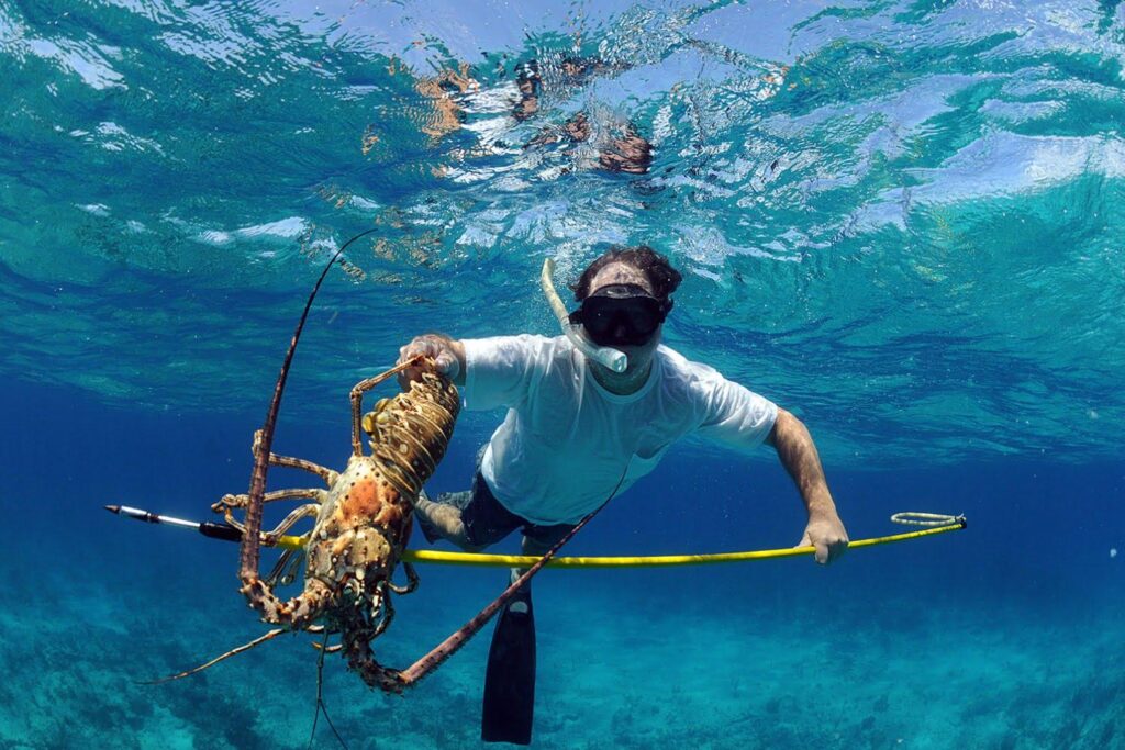 Florida Lobster Season 2025 Overview Florida Lobster Season 2025 Overview
