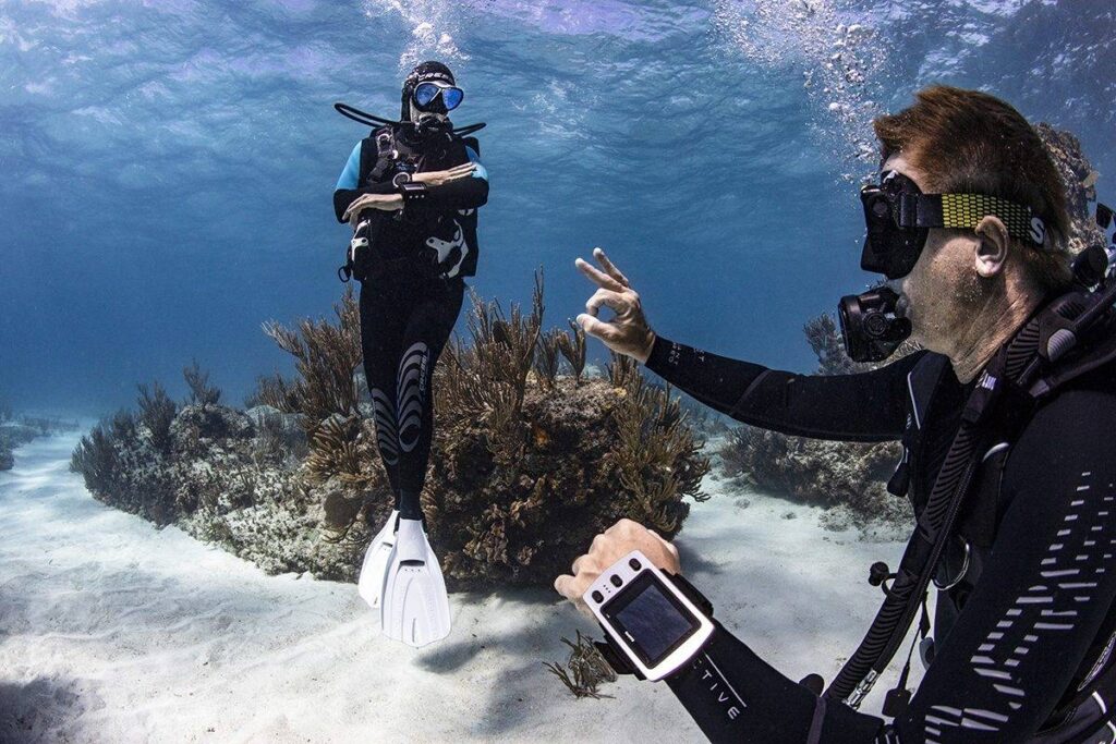 Plan Your Dive and Dive Your Plan Plan Your Dive and Dive Your Plan