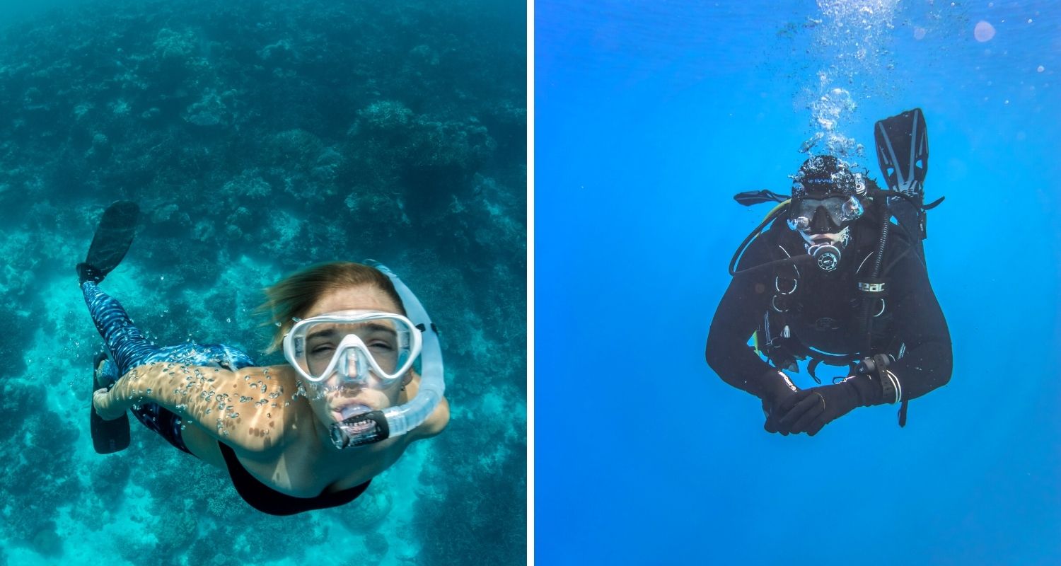 Scuba diving vs snorkeling