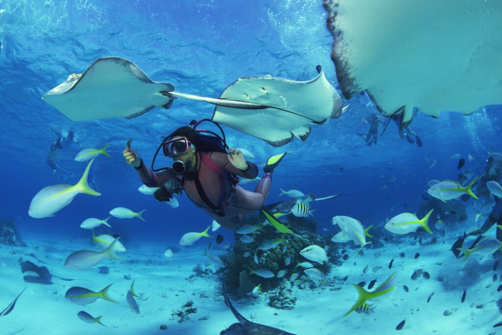 Top 10 Scuba Diving Destinations Top 10 Scuba Diving Destinations