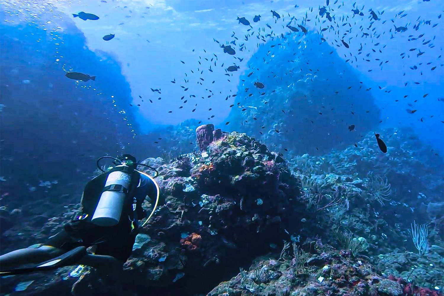 best scuba diving in the world
