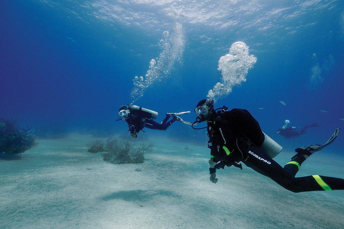 what should divers do for their own safety