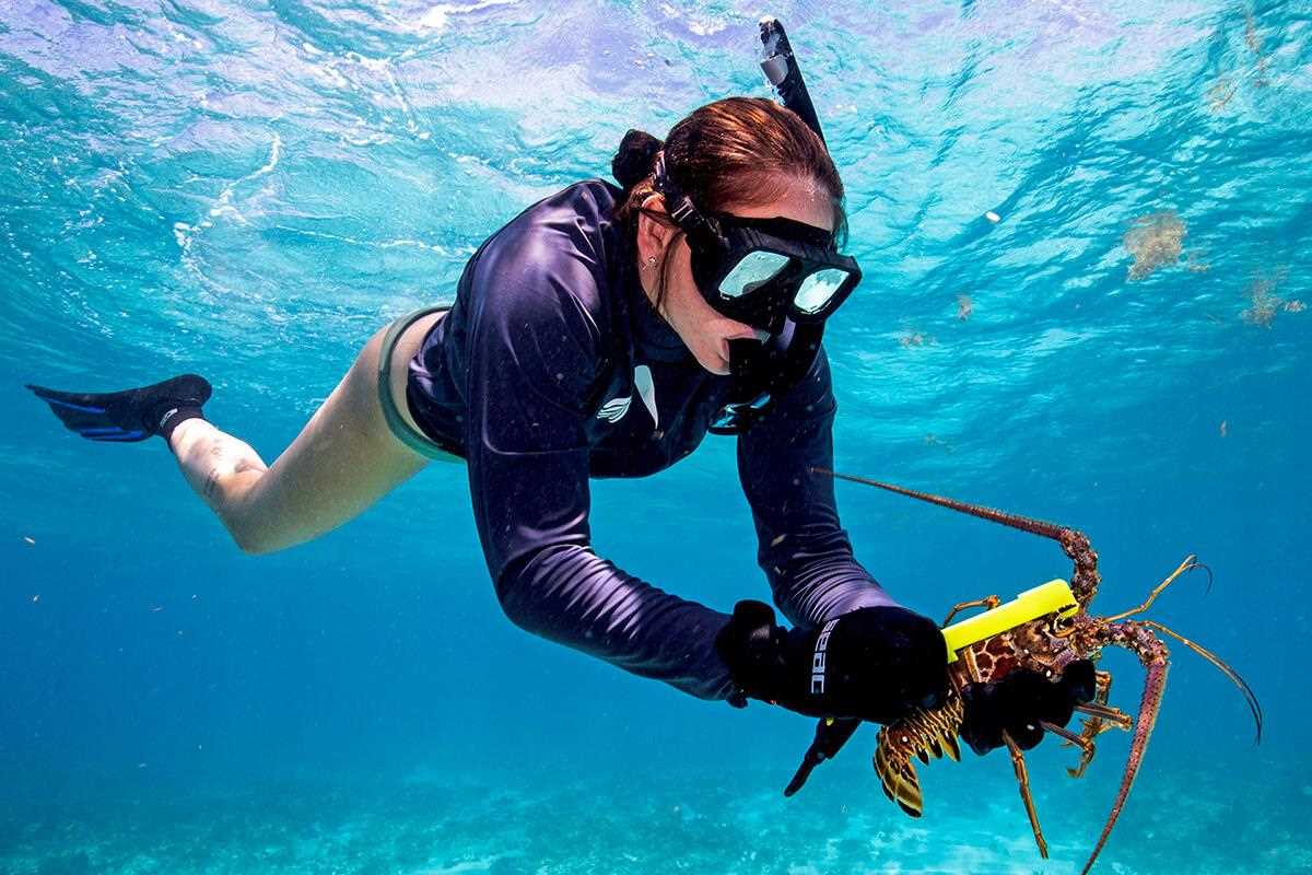 when is lobster season in the florida keys
