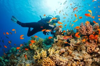 Best Budget Scuba Dive Destinations in India for Beginner Divers