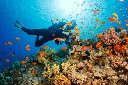 Best Budget Scuba Dive Destinations in India for Beginner Divers