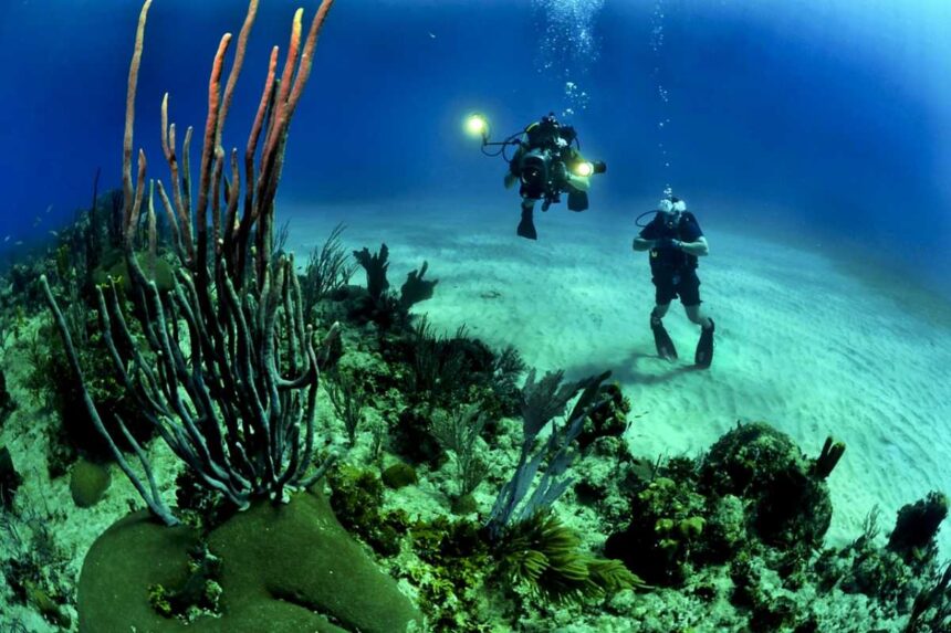 Best Scuba Diving Destinations for Under ₹10000