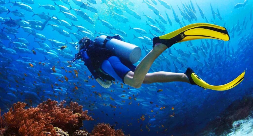 Best Scuba Diving Places in Goa