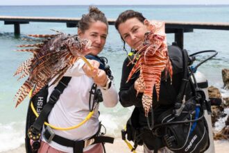 Lionfish Hunting Techniques