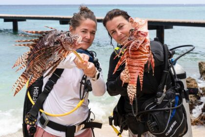 Lionfish Hunting Techniques