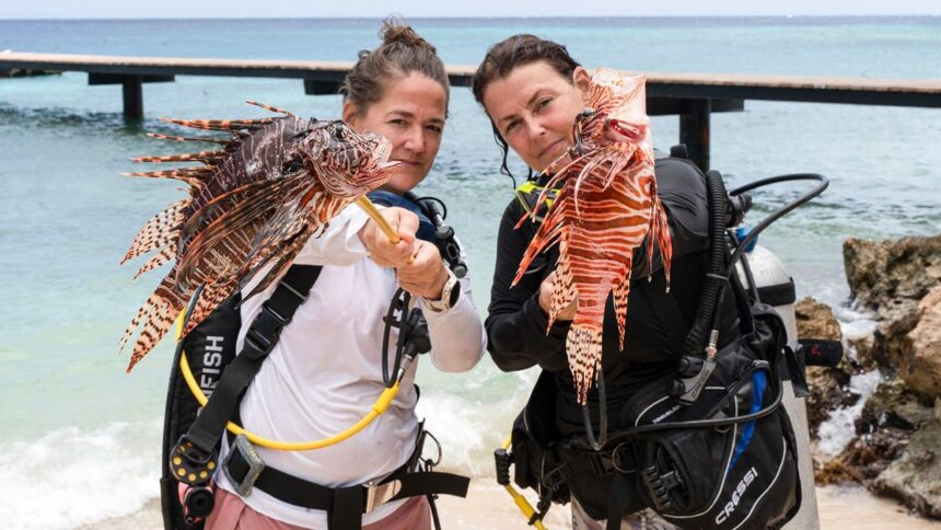 Lionfish Hunting Techniques
