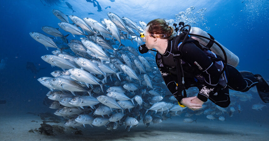 Scuba Diving Injury Treatment Cost in the USA