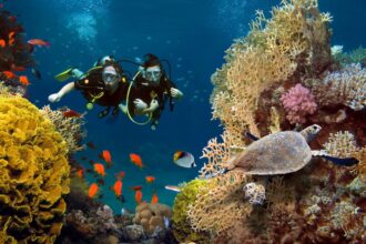 best scuba diving in china