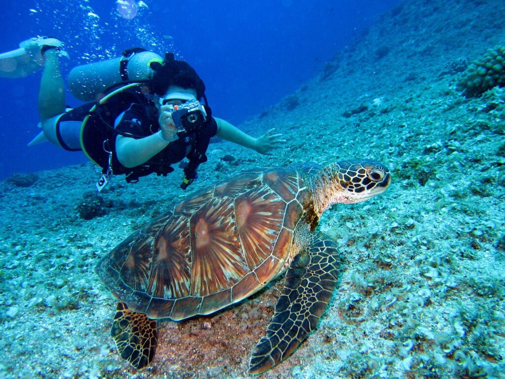 How Deep Do You Actually Dive on a Typical Holiday