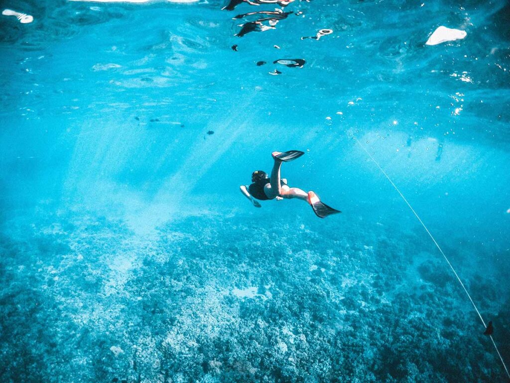 What Makes a Destination Good for Beginner Divers