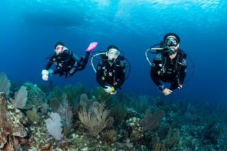 best scuba diving destinations for beginners