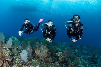 best scuba diving destinations for beginners