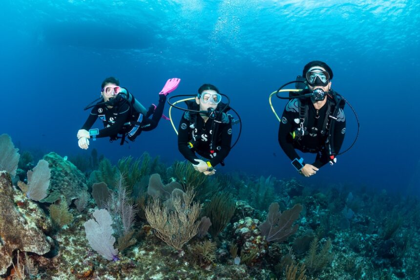 best scuba diving destinations for beginners
