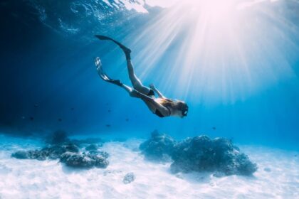 freediving vs scuba diving differences