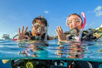 scuba diving certification cost