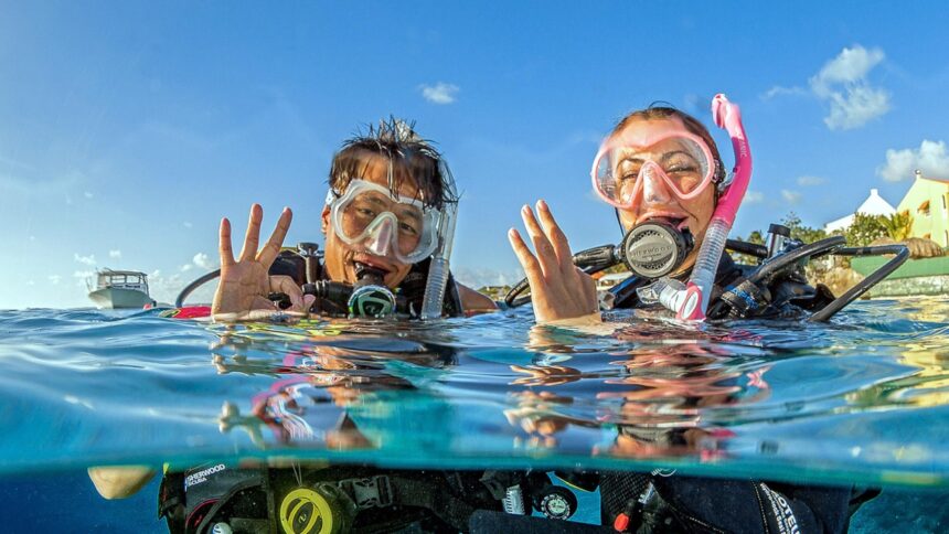 scuba diving certification cost