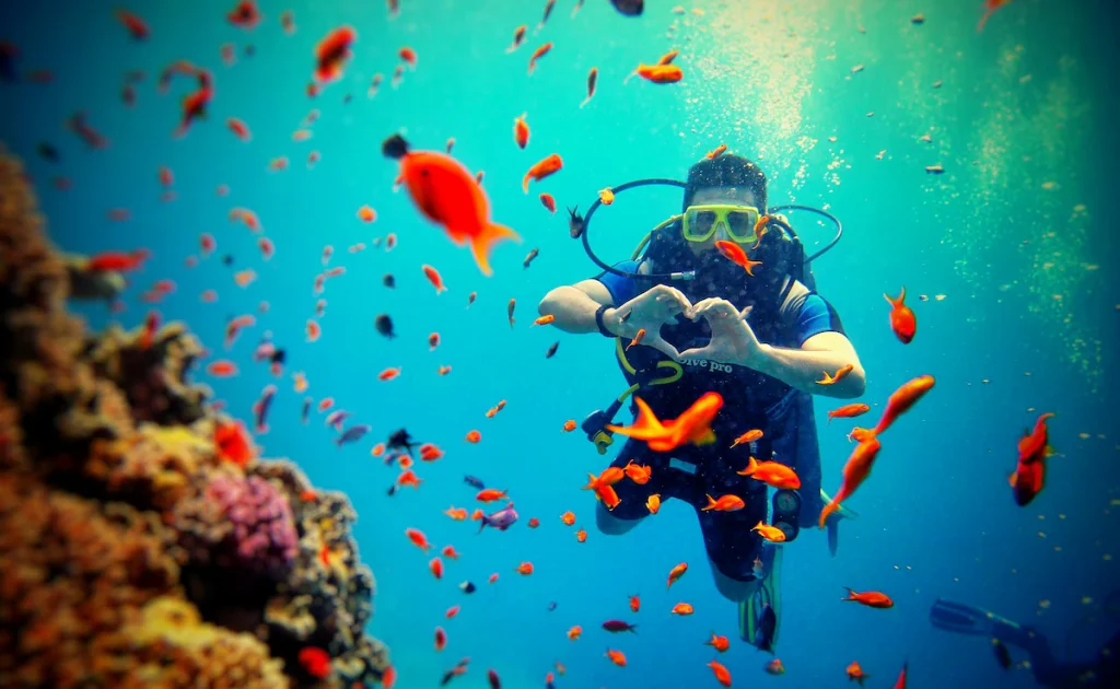 How We Chose These Scuba Diving Destinations