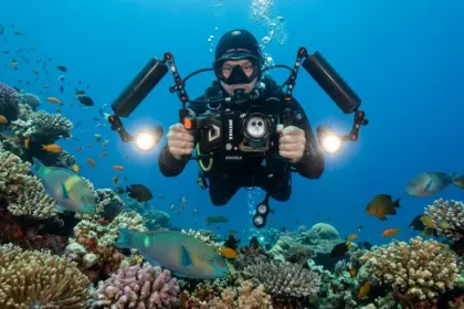 best scuba diving destinations by month 2026