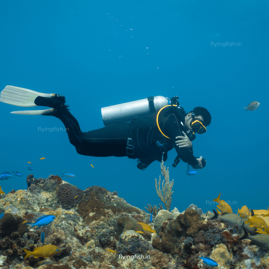 How Does Scuba Diving Work
